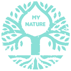 My Nature | Școală de Artă